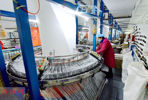洛陽九發實業 瞄準市場需求促生產，研發環保產品穩就業