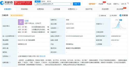 螞蟻集團上海新設企管咨詢公司，信息系統集成服務成亮點